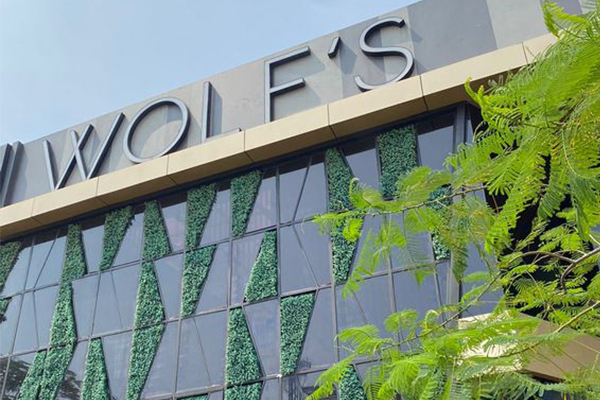 OULET WOLF’S